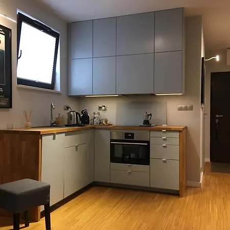 Modern Studio Jana Kazimierza 47 Apartment Warsaw